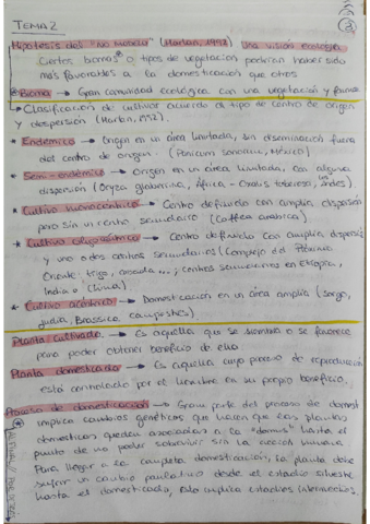 TEMA-2-RGMV.pdf