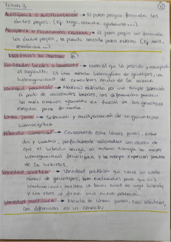 TEMA-3-RGMV.pdf