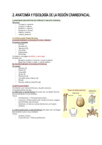 ESTUDIO-DE-LA-CAVIDAD-ORAL-TEMA-2.pdf