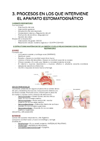 ESTUDIO-DE-LA-CAVIDAD-ORAL-TEMA-3.pdf