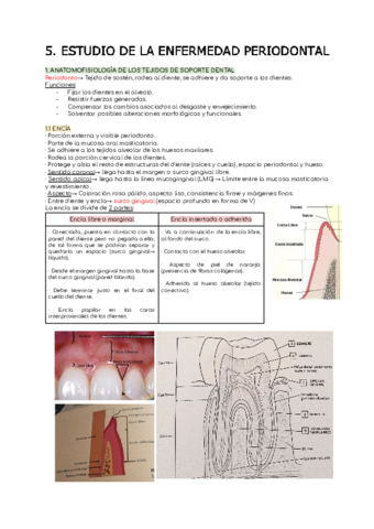 ESTUDIO-DE-LA-CAVIDAD-ORAL-TEMA-5.pdf