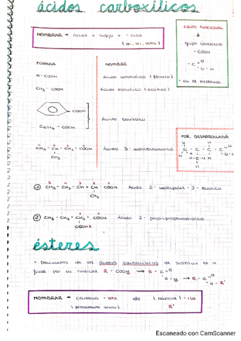 COMPUESTOS-OXIGENADOS-Y-NITROGENADOS.pdf