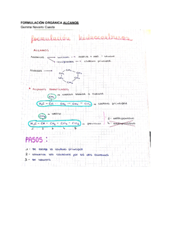 Gemma-Navarro-Cuesta-Alcanos-ramificados.pdf