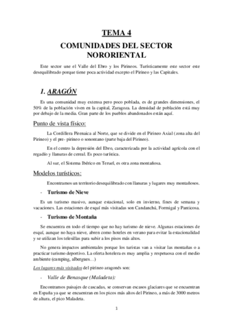 TEMA-4.pdf