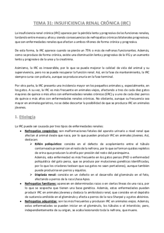 TEMA-31-Patologia-General.pdf