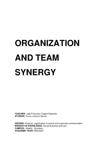 ORGANIZATION-AND-TEAM-SYNERGY-COMPLETE.pdf