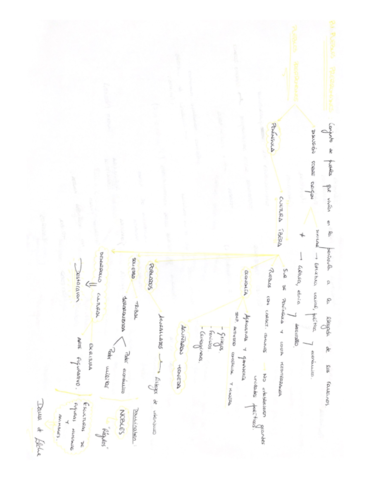 B1-Pueblos-Prerromanos.pdf