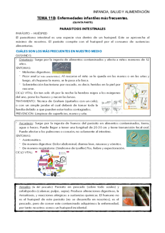 TEMA-11B-mis-apuntes.pdf