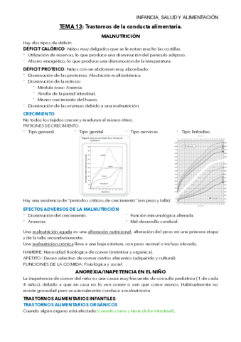 TEMA-13-mis-apuntes.pdf