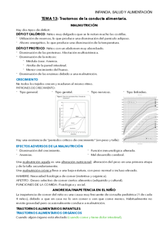 TEMA-13-mis-apuntes.pdf