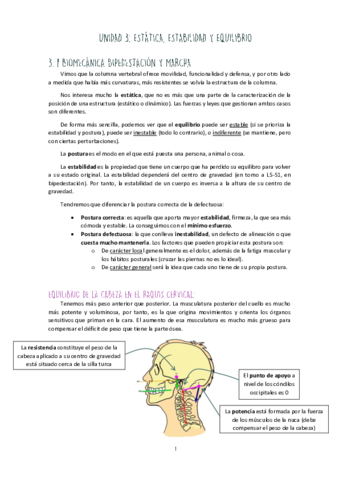 Bloque-III-Bipedestacion.pdf