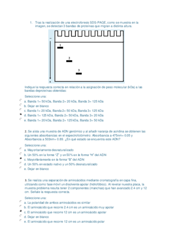 EXAMEN-TEST-PRACTICAS-BIOQUIMICA-2019-2020.pdf
