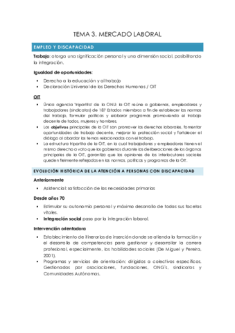 TEMA-3.pdf