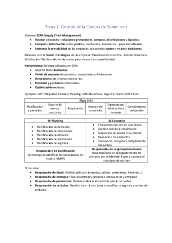 Resumen-SGEII.pdf