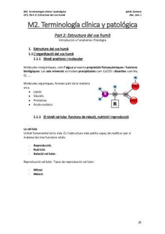 M2.pdf