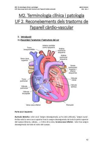 M2.pdf