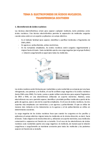 REUSMEN-TEMA-5-TEM.pdf