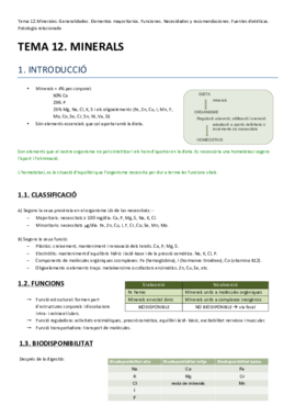 TEMA 12. MINERALS.pdf