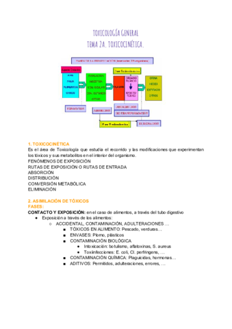 TEMA-2.pdf