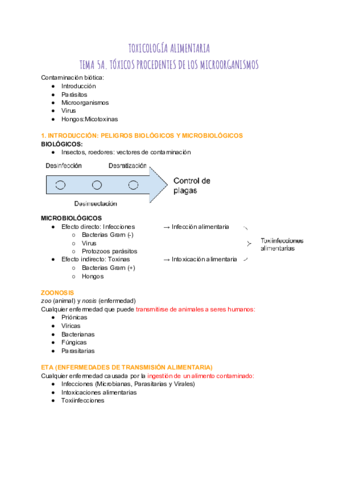 TEMA-5.pdf