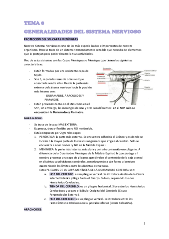 TEMA-8-NEURO.pdf