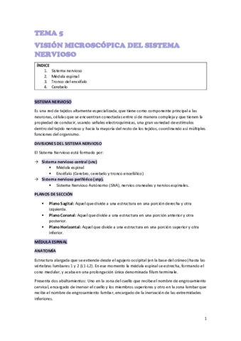 TEMA-5-NEURO.pdf