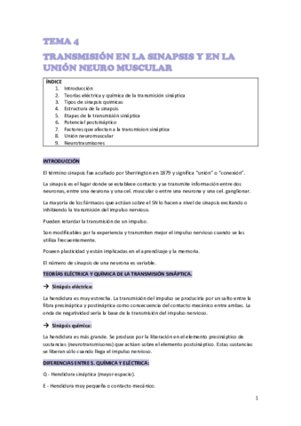 TEMA-4-NEURO.pdf