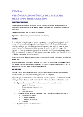 TEMA-6-NEURO.pdf
