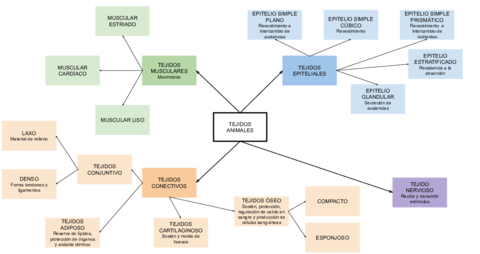 TEJIDOS-ANIMALES.pdf