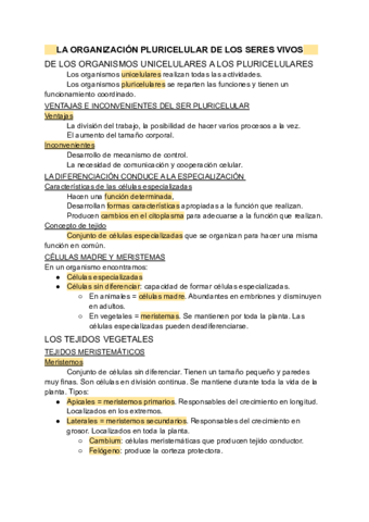 TEMA-4.pdf
