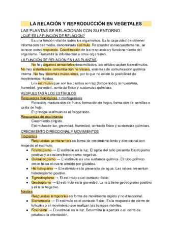 TEMA-6.pdf