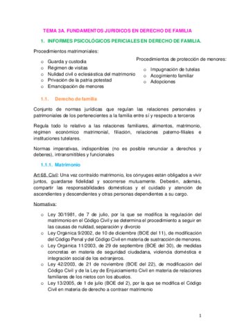 TEMA-3A.pdf