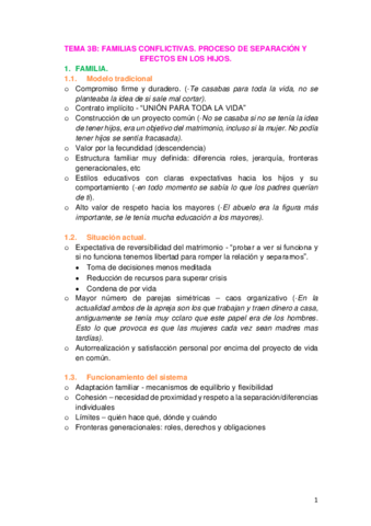TEMA-3B.pdf