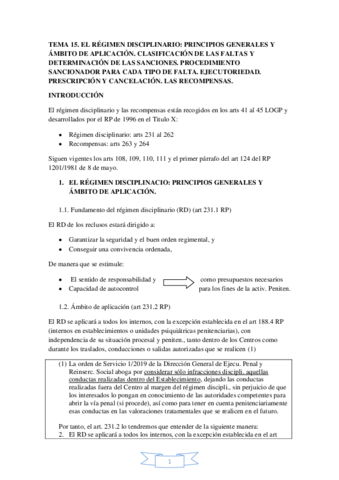 RESUMEN-T-15-PENI.pdf