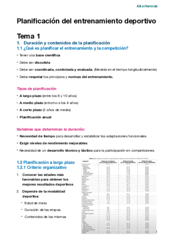 Apuntes-PlanificacionTeoria.pdf