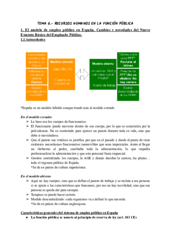 T6-APE.pdf