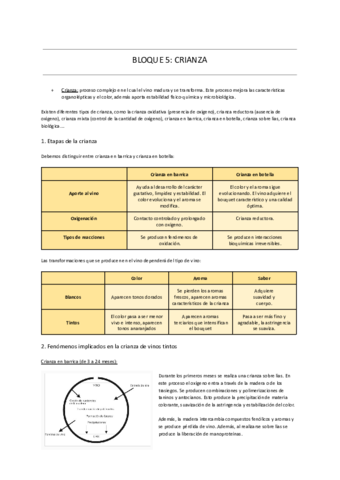 BLOQUE-5-CRIANZA.pdf