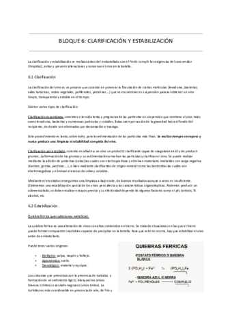 BLOQUE-6-CLARIFICACION-Y-ESTABILIZACION.pdf