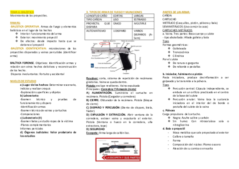 ESQUEMAS-TEMAS-6-8I-Y-II.pdf