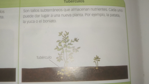 VID20210601204716.mp4