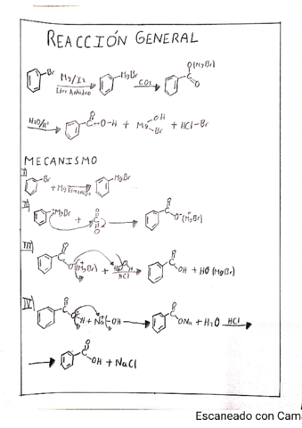 reaccion-general-y-mecanismos-de-reaccion-practica-6.pdf
