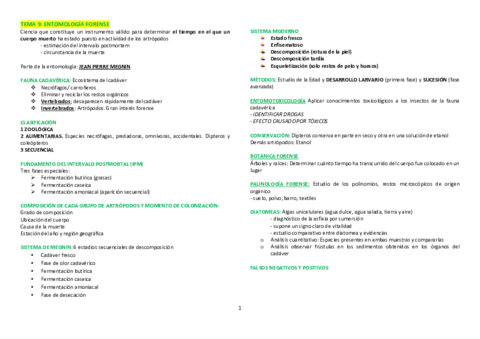 ESQUEMAS-91011-1.pdf
