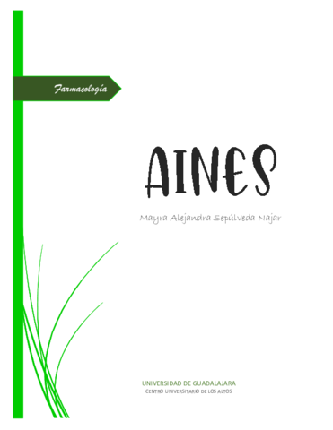 AINES.pdf