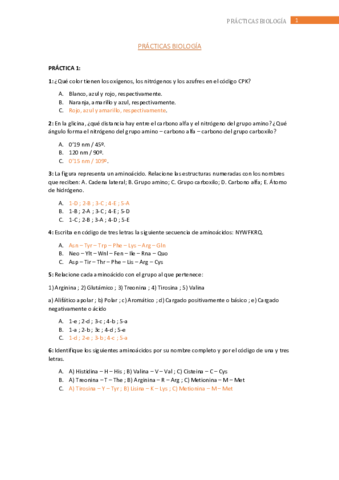 practicas.pdf
