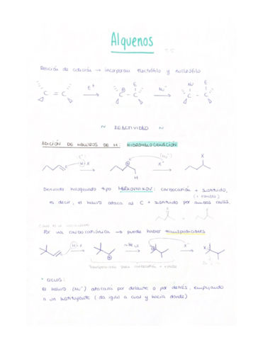 Alquenos.pdf