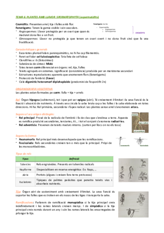 Generalitats-palntes.pdf