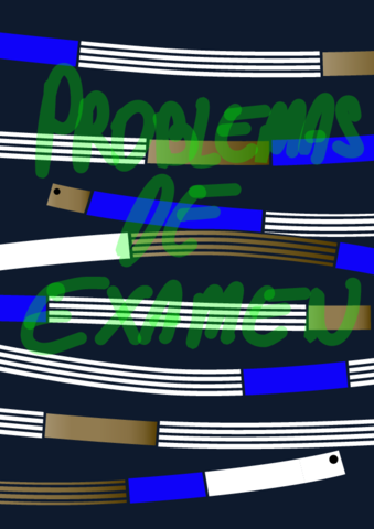 Ejercicios-Examenes-.pdf