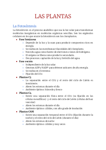 Biologia-Fotosintesis.pdf