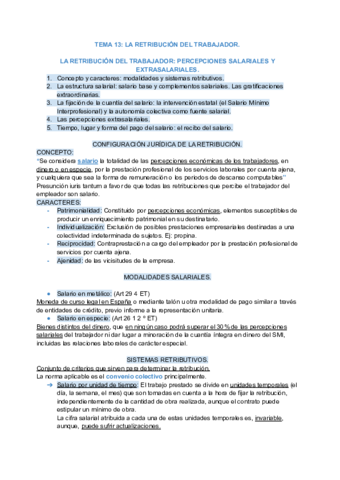 Miniatura del documento Tema-13-LA-RETRIBUCION-DEL-TRABAJADOR.pdf