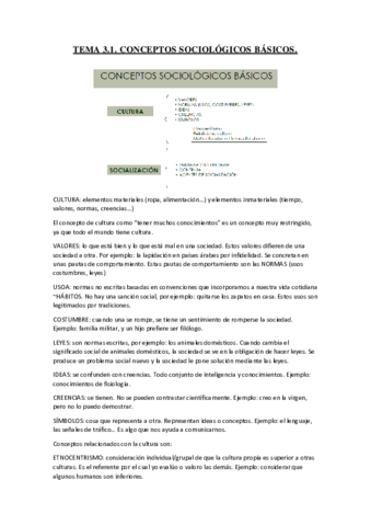 TEMA-3.pdf